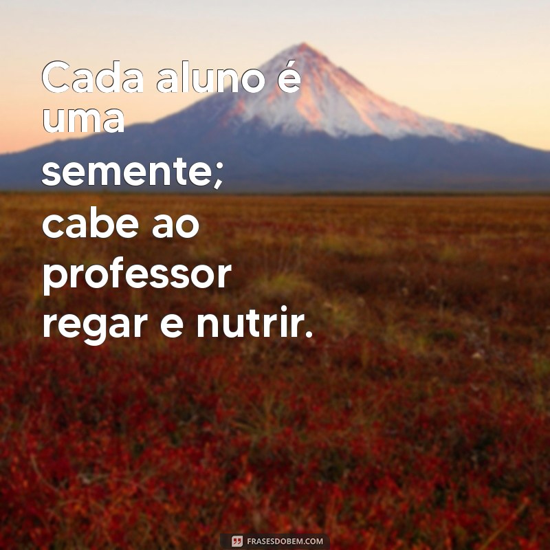 Frases Inspiradoras para Professores: Motivação e Reflexão na Educação 