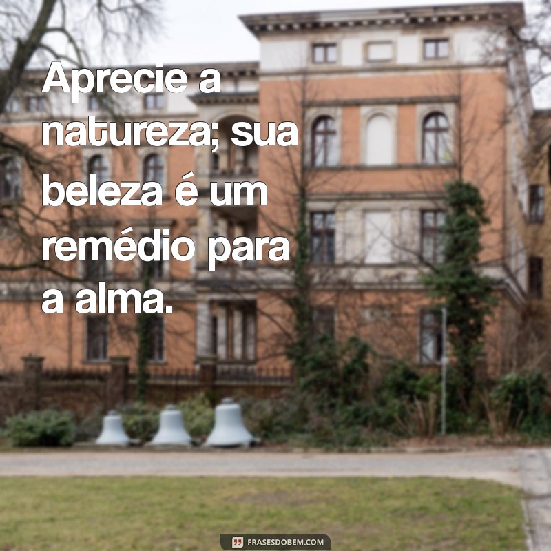 Transforme a Felicidade em Rotina: Frases Inspiradoras para o Dia a Dia 