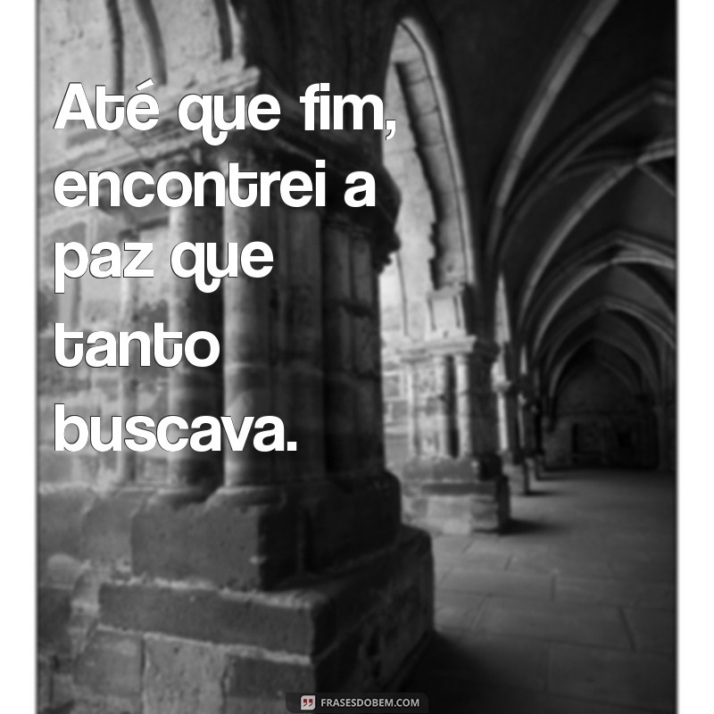 até que fim ou até que enfim Até que fim, encontrei a paz que tanto buscava.