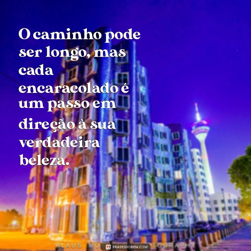 Frases Inspiradoras para Acompanhar sua Transição Capilar 