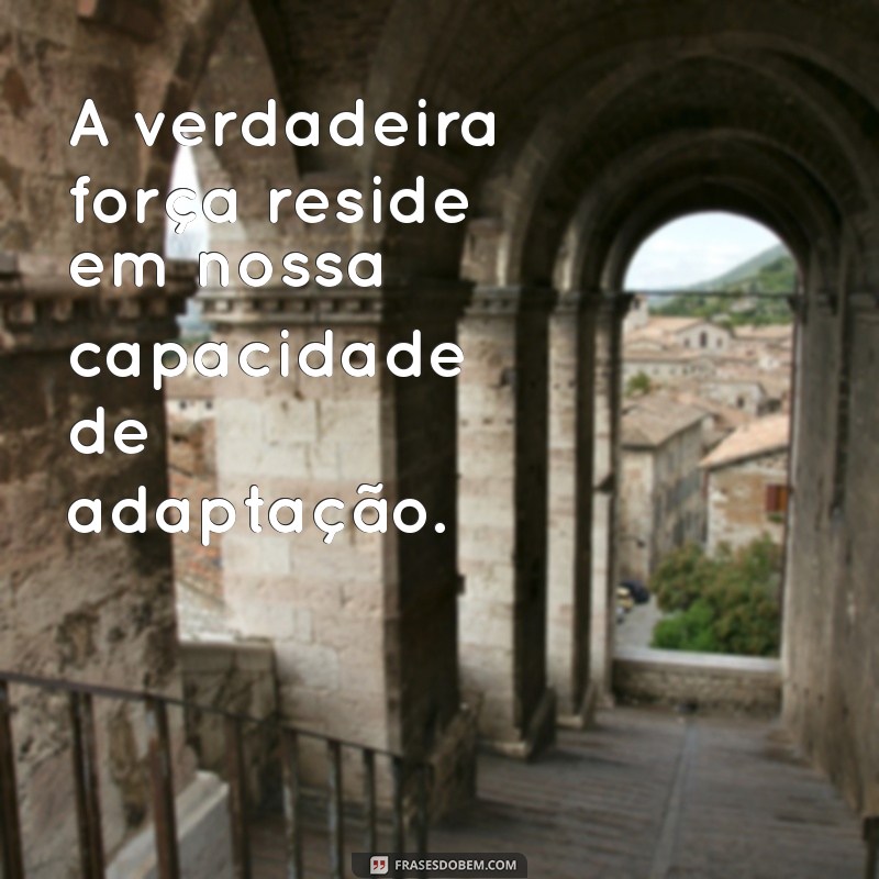 Frases Inspiradoras sobre Adaptação: Encontre Sabedoria nas Mudanças 