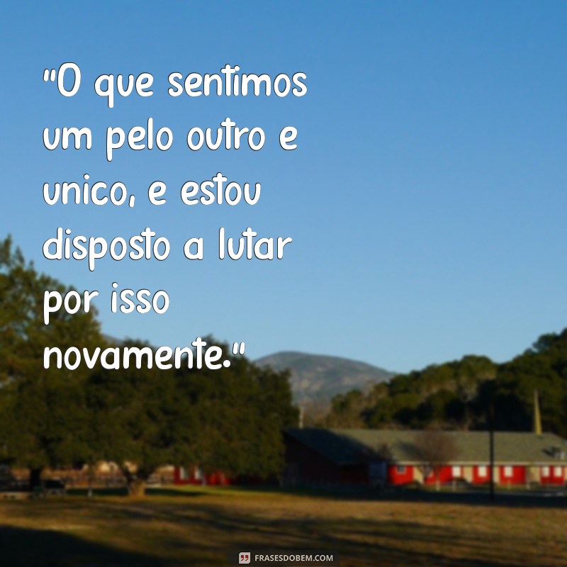 frases para reconquistar um amor 