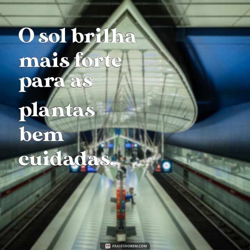 Frases Inspiradoras para Acompanhar Suas Fotos de Plantas 