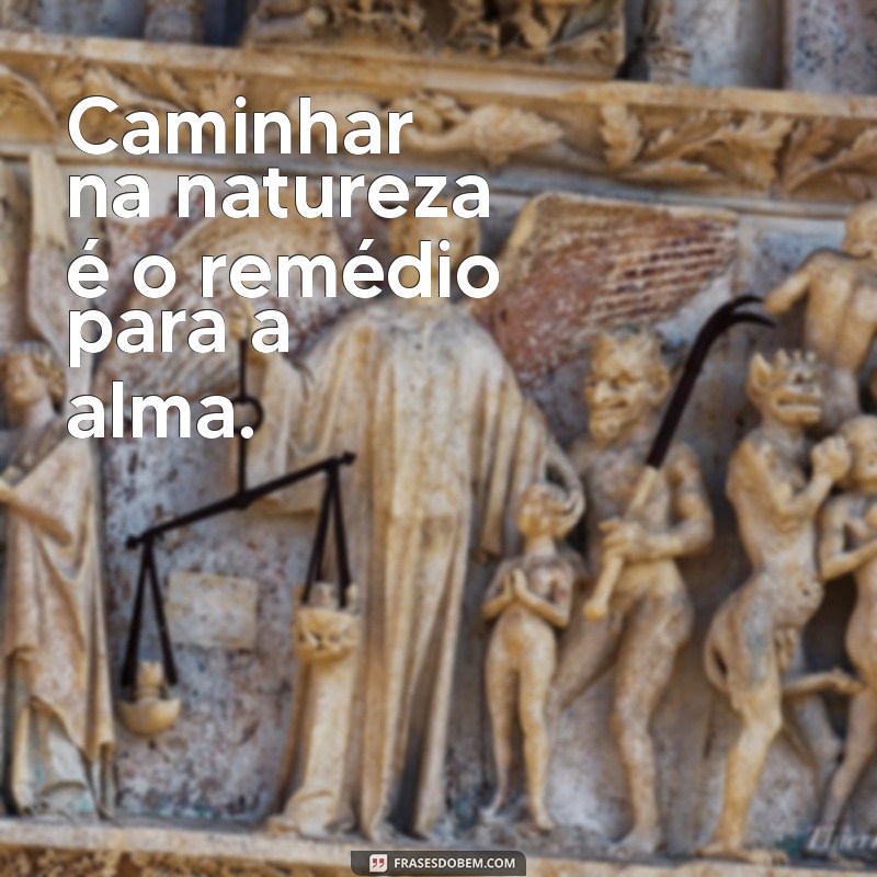 Frases Inspiradoras para Trilheiros: Aumente sua Motivação nas Aventuras ao Ar Livre 