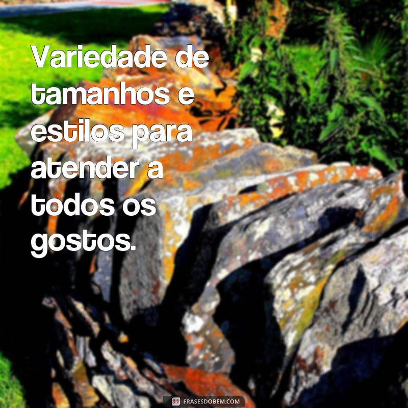 Descubra as melhores frases para aumentar suas vendas de roupas! 