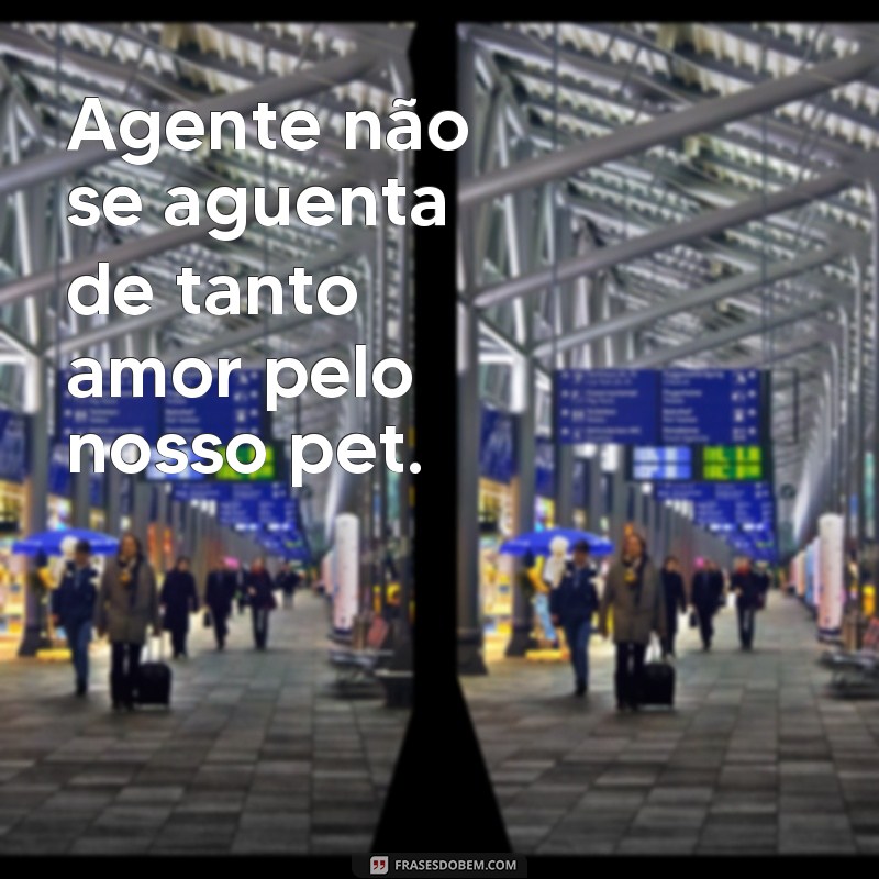 Descubra as melhores frases que vão te fazer perder o controle: agente não se aguenta! 