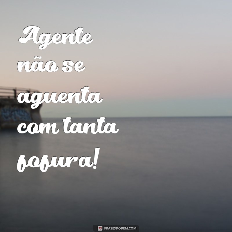 frases agente não se aguenta Agente não se aguenta com tanta fofura!