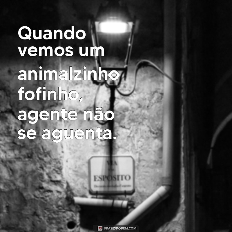 Descubra as melhores frases que vão te fazer perder o controle: agente não se aguenta! 