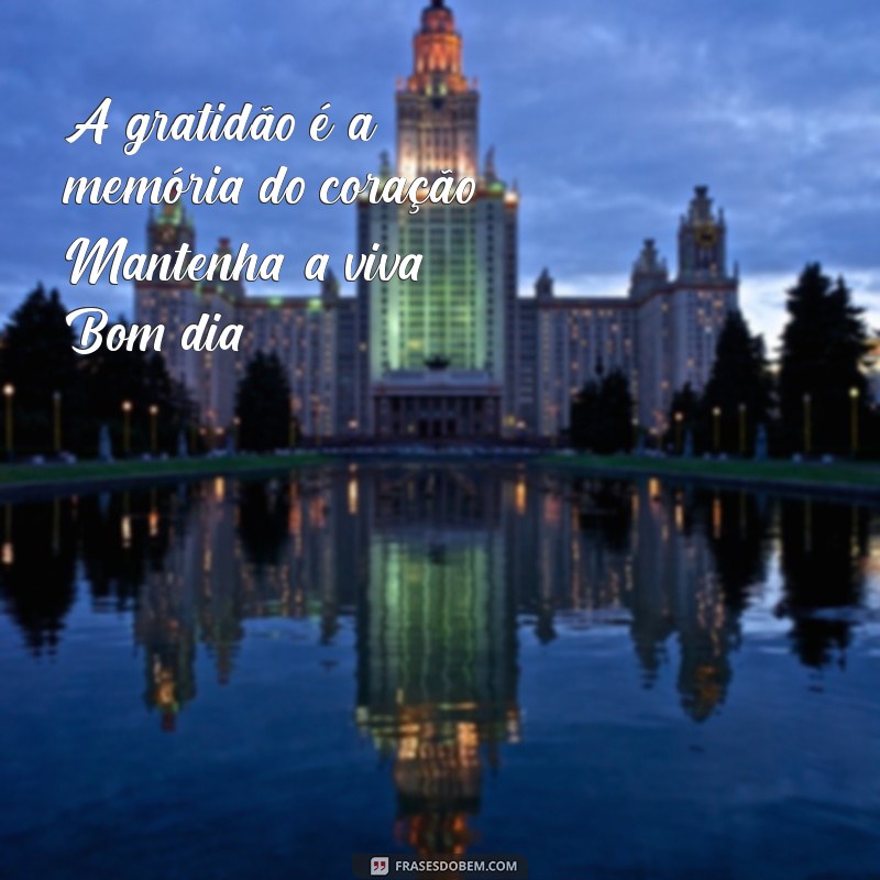 Frases Inspiradoras para Começar o Dia com Gratidão 