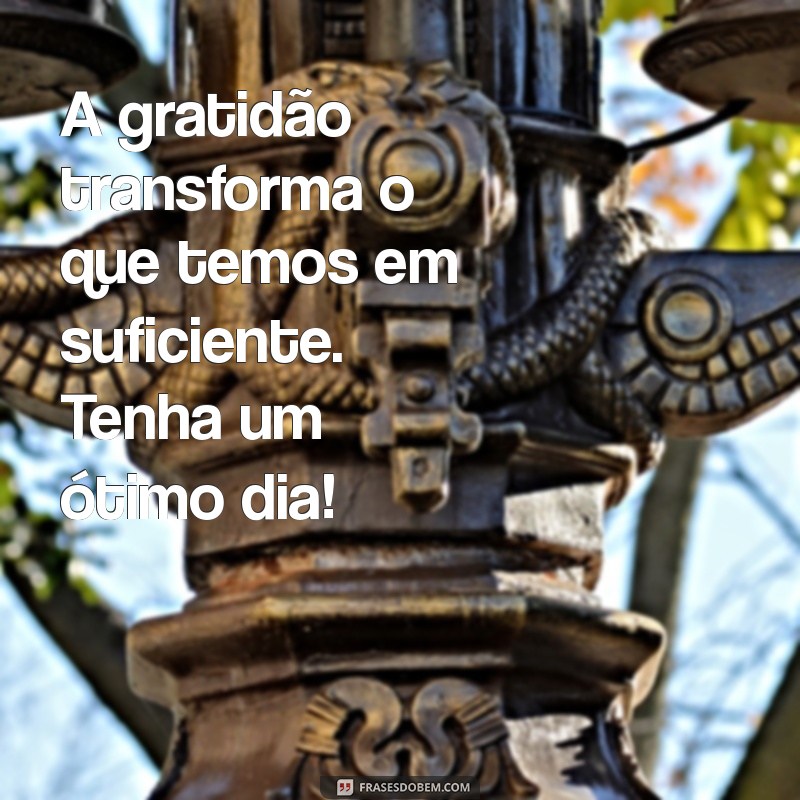 Frases Inspiradoras para Começar o Dia com Gratidão 