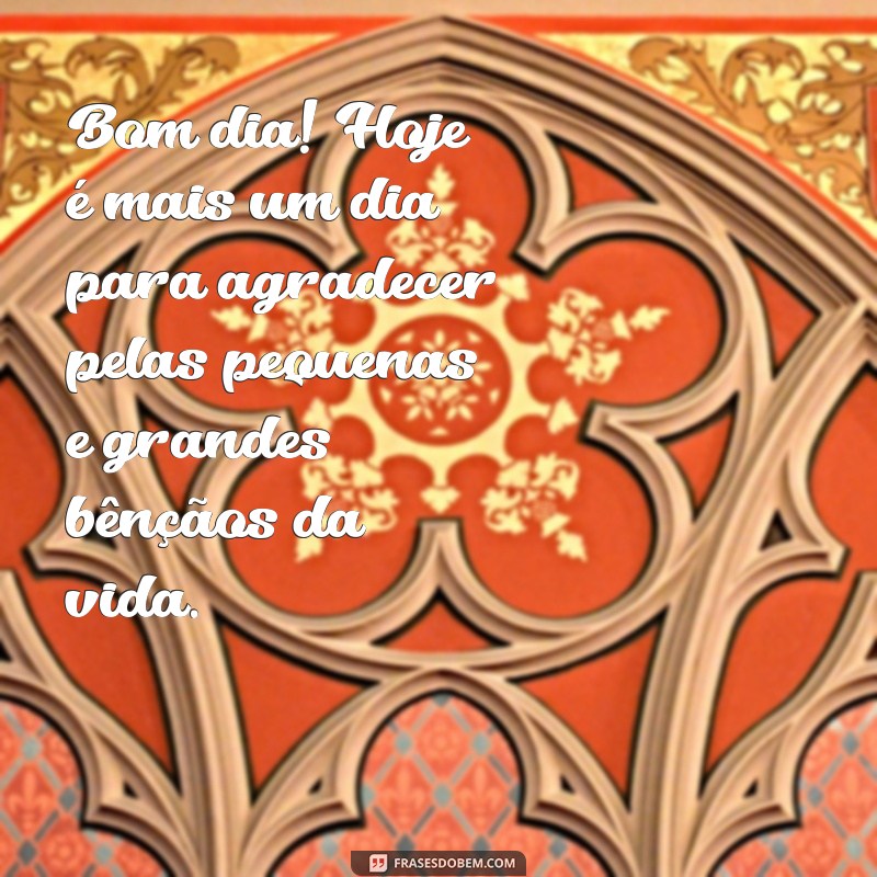 bom dia com gratidão frases Bom dia! Hoje é mais um dia para agradecer pelas pequenas e grandes bênçãos da vida.