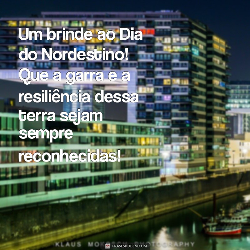 Celebre o Dia do Nordestino: Cultura, Tradições e Orgulho da Região 