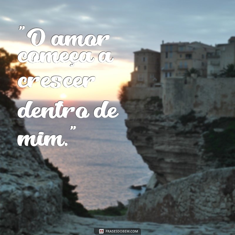 frases para foto de ultrassom 