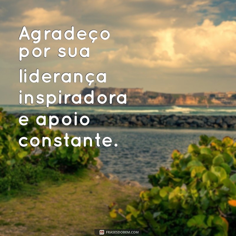 frases de agradecimento ao chefe Agradeço por sua liderança inspiradora e apoio constante.