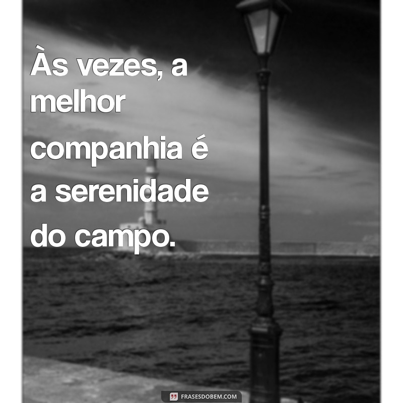 Frases Inspiradoras para Fotos Sozinha no Estilo Country 