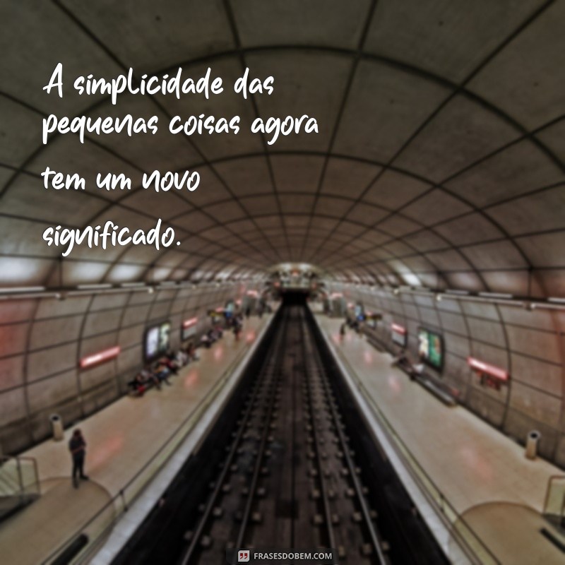 Frases Inspiradoras para Mães de Primeira Viagem: Dicas e Reflexões 