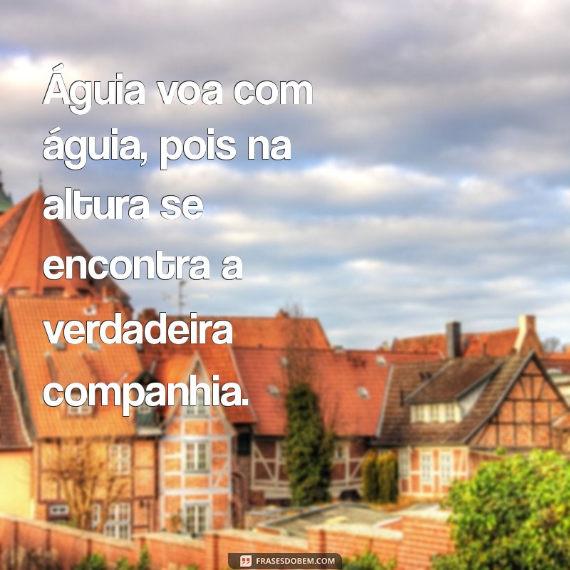 águia voa com águia frases Águia voa com águia, pois na altura se encontra a verdadeira companhia.