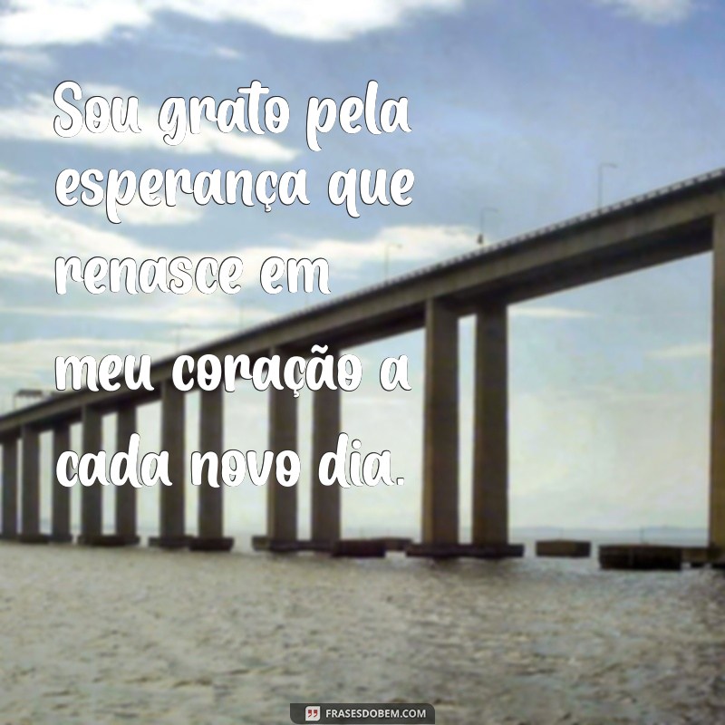 Salmo de Agradecimento: Como Expressar Gratidão e Fortalecer sua Fé 