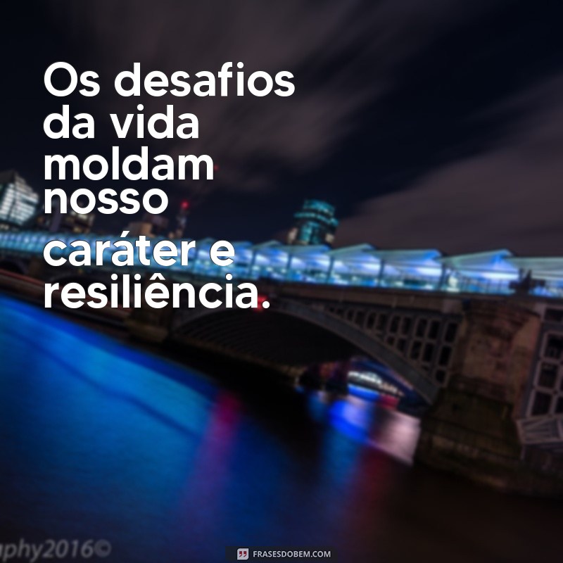 Como Encarar os Desafios da Vida com Coragem e Resiliência 