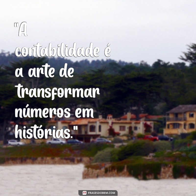 frases para contador 