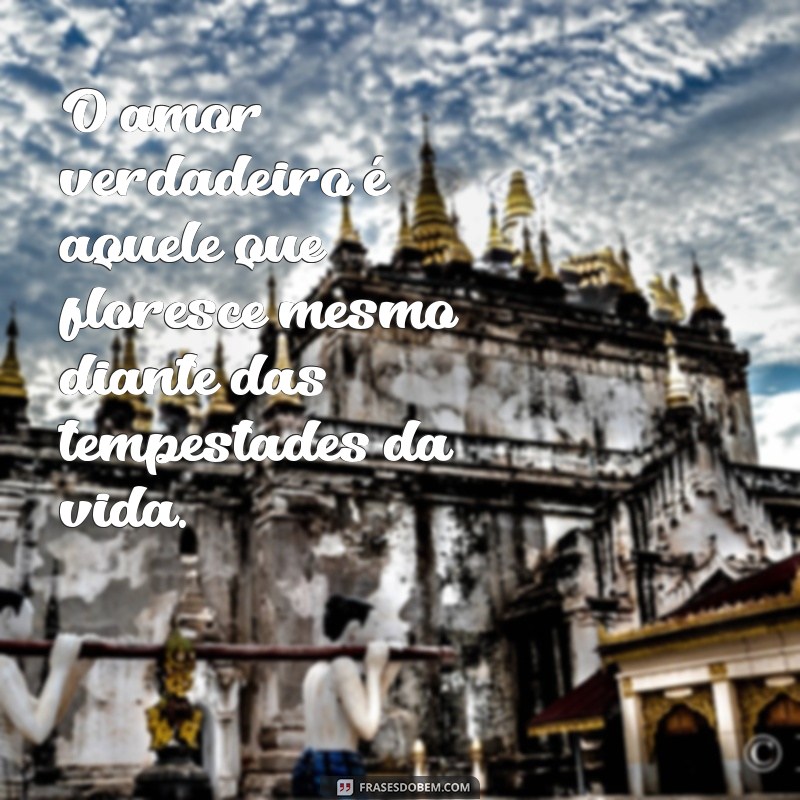 frases sobre o amor verdadeiro O amor verdadeiro é aquele que floresce mesmo diante das tempestades da vida.