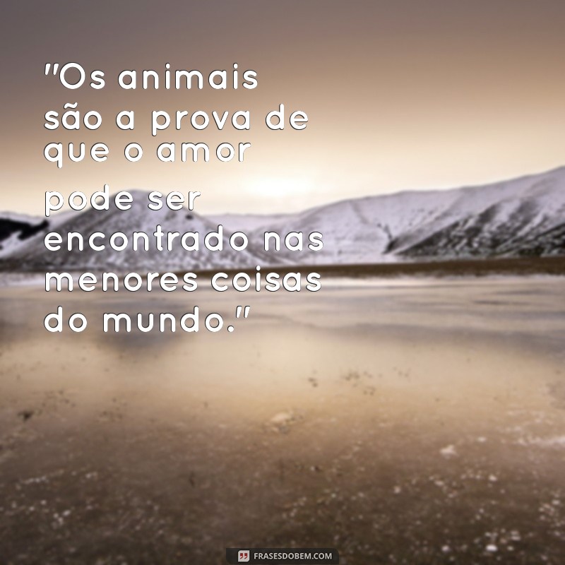 frases amor aos animais 