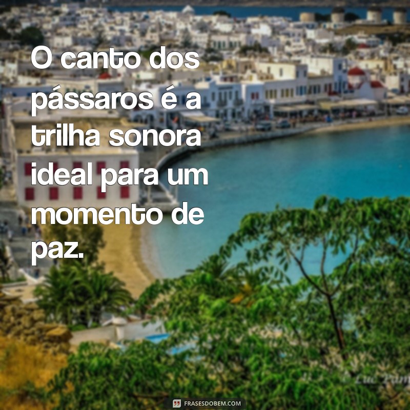 Descubra as Melhores Frases Inspiradoras sobre Paisagens Naturais 