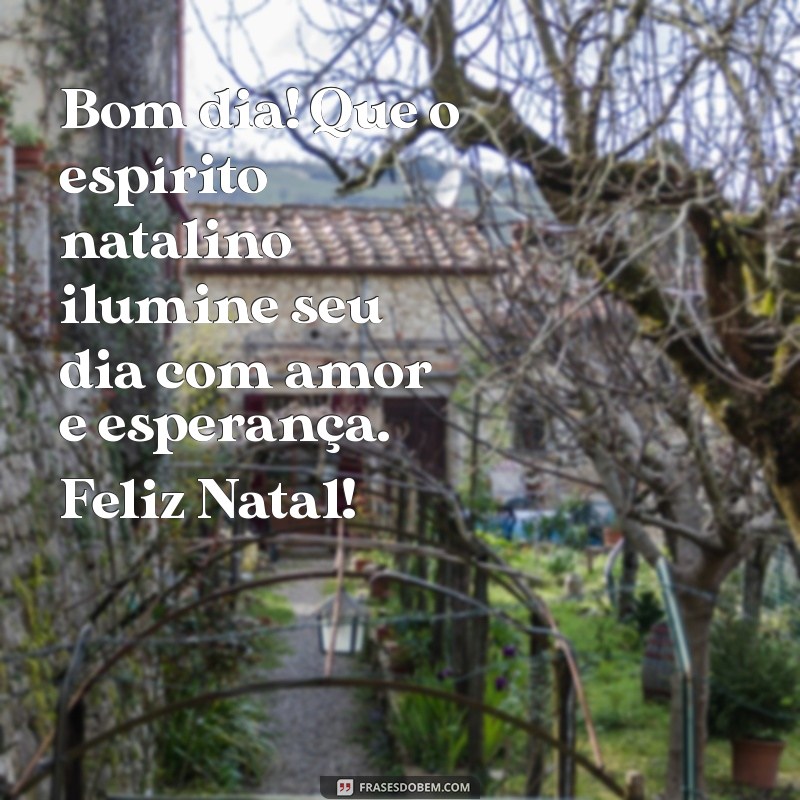 mensagem de natal bom dia Bom dia! Que o espírito natalino ilumine seu dia com amor e esperança. Feliz Natal!