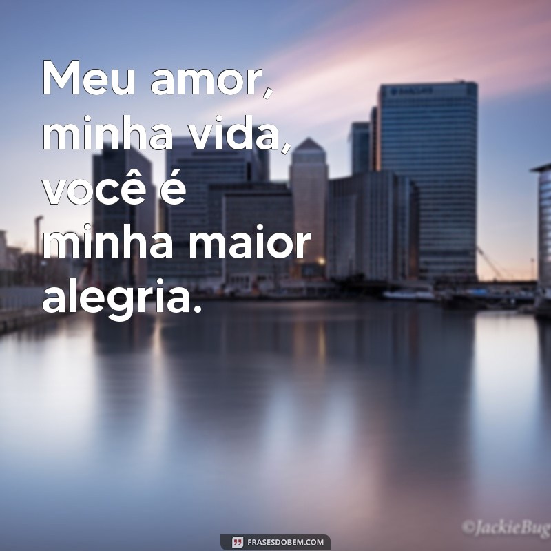 Meu Amor, Minha Vida: Descubra o Poder do Amor em Cada Momento 