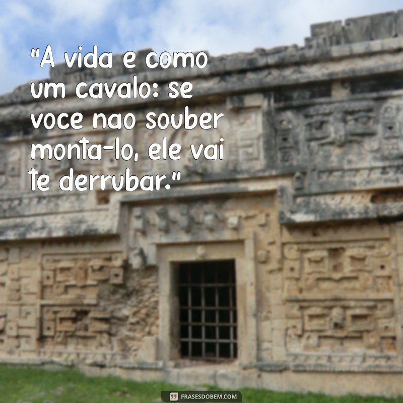 frases gauderias 