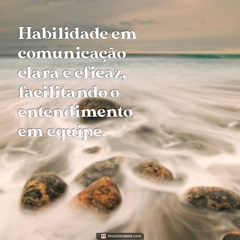 frases de habilidades e competências para currículo Habilidade em comunicação clara e eficaz, facilitando o entendimento em equipe.