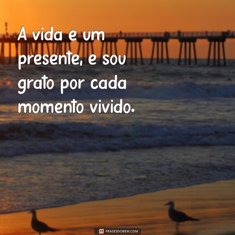 Frases Inspiradoras de Gratidão a Deus para Agradecer Todos os Dias 