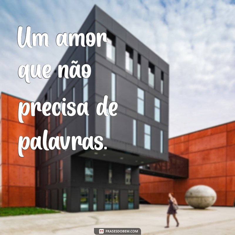 Frases Criativas para Legendar Fotos do Seu Pet: Inspire-se! 