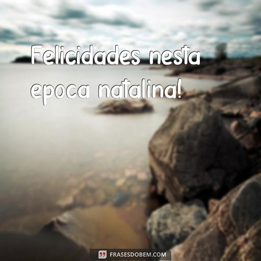  Felicidades nesta época natalina!