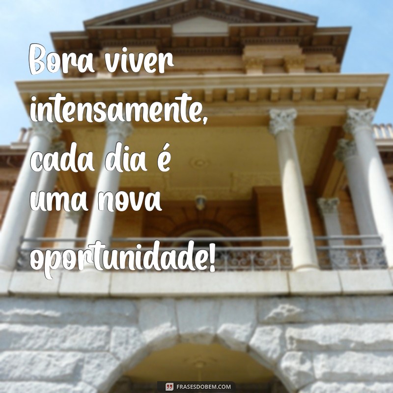 frases bora viver Bora viver intensamente, cada dia é uma nova oportunidade!