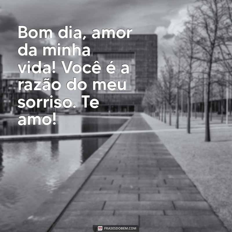 bom dia amor da minha vida te amo Bom dia, amor da minha vida! Você é a razão do meu sorriso. Te amo!