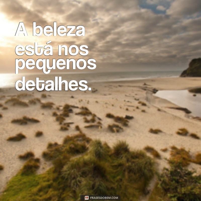 frases delicadas curtas A beleza está nos pequenos detalhes.