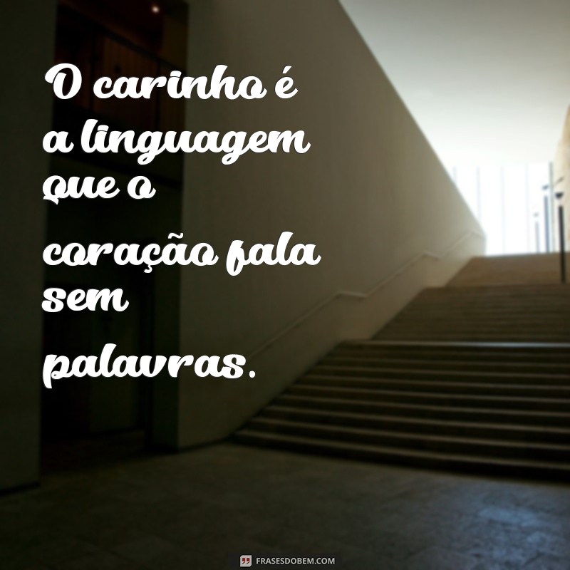 frases carinho O carinho é a linguagem que o coração fala sem palavras.