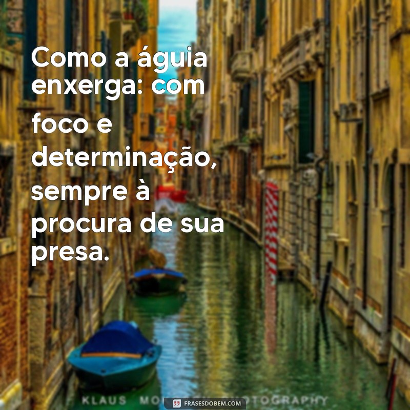 como a águia enxerga Como a águia enxerga: com foco e determinação, sempre à procura de sua presa.