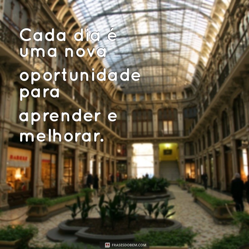 Frases Inspiradoras para Empreendedores: Motive-se e Transforme Seu Negócio 