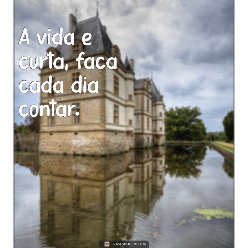 As Melhores Frases para Destaques do Instagram: Inspire e Encante Seus Seguidores 