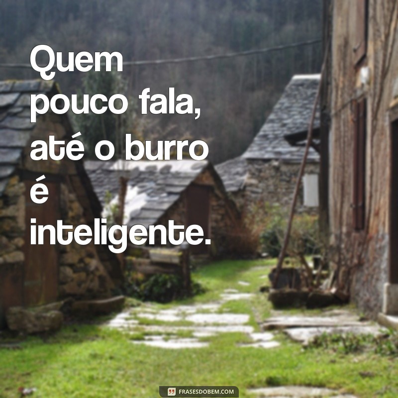 frases ditados populares engraçados Quem pouco fala, até o burro é inteligente.