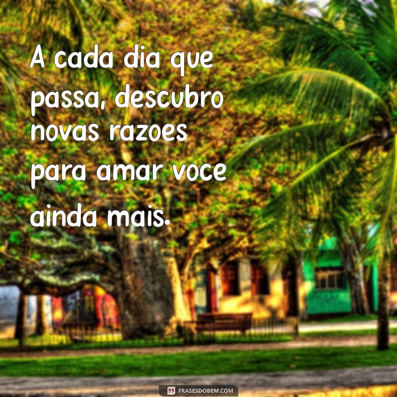 As Melhores Frases Românticas para Encantar Sua Namorada 