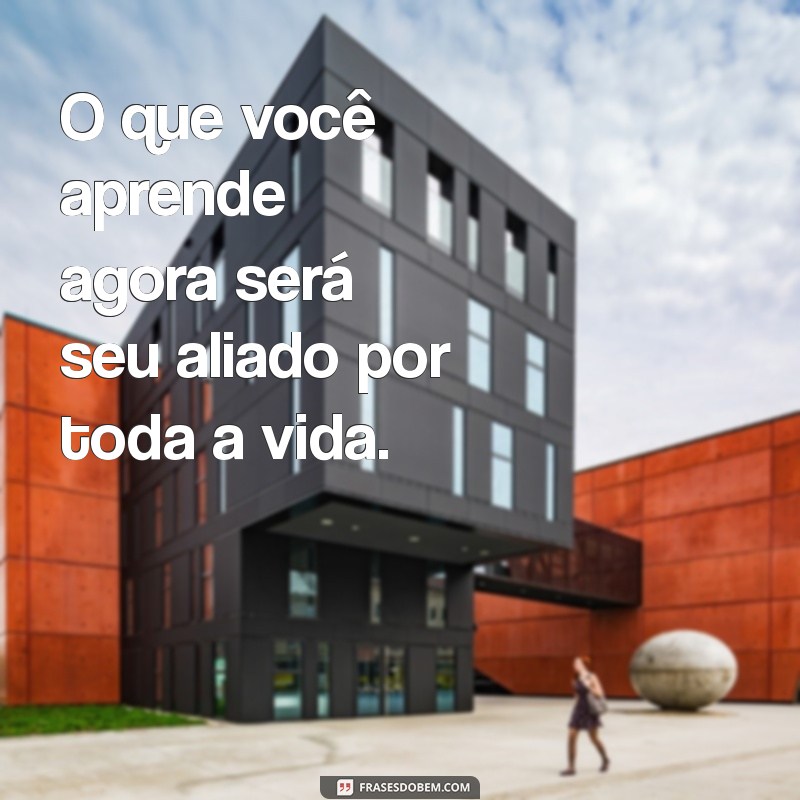 24 Frases Motivacionais para Impulsionar Seus Estudos e Aumentar sua Produtividade 