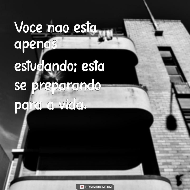 24 Frases Motivacionais para Impulsionar Seus Estudos e Aumentar sua Produtividade 