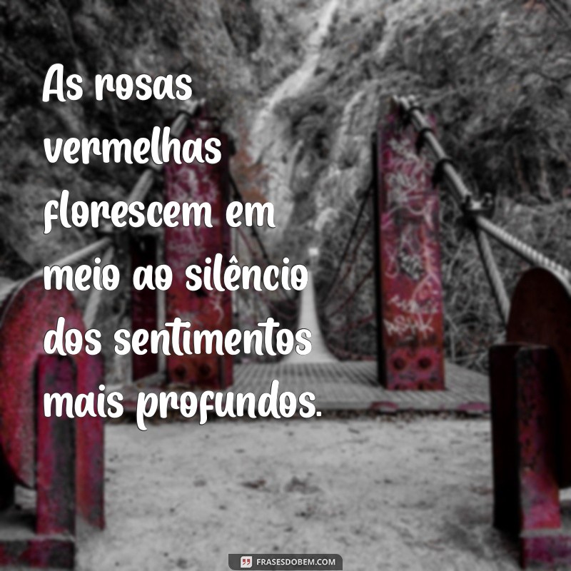 Descubra as Melhores Frases sobre Rosas Vermelhas para Inspirar seu Dia 