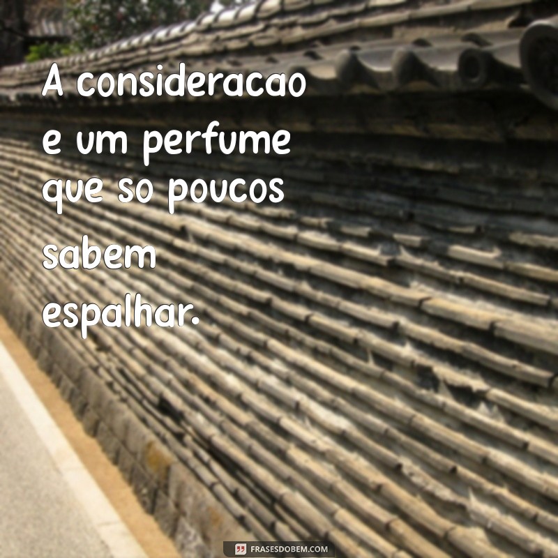 Consideração: A Virtude Rara que Transforma Relações 