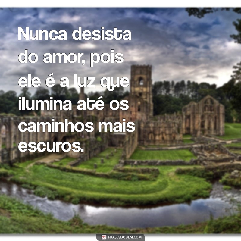 nunca desista do amor Nunca desista do amor, pois ele é a luz que ilumina até os caminhos mais escuros.