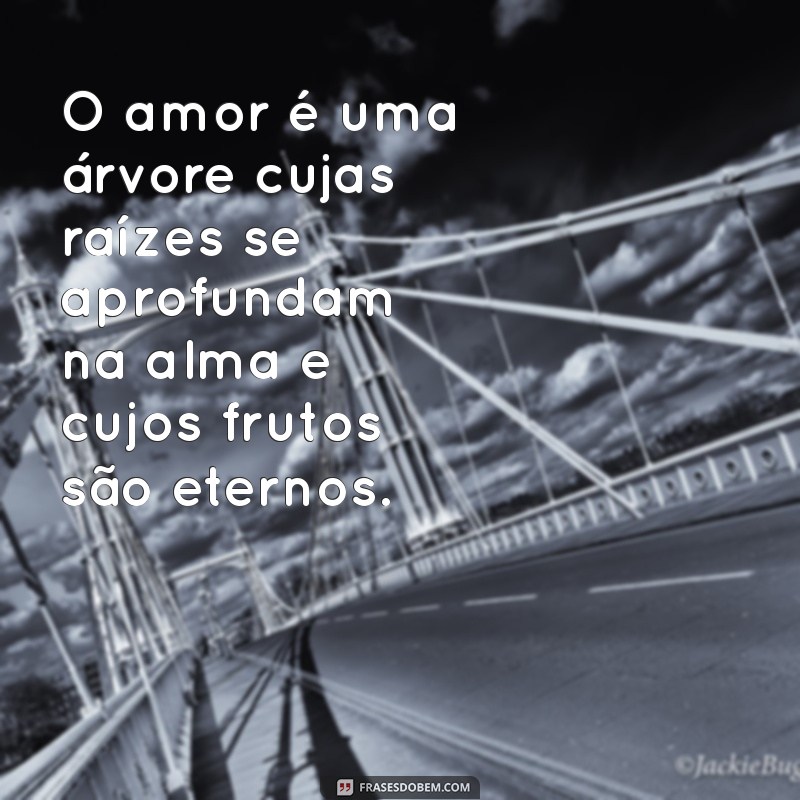 Frases Inspiradoras de Salomão para Declarar Seu Amor 