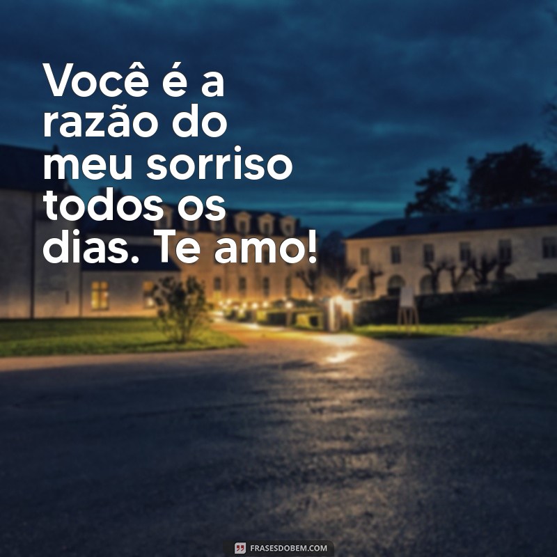 recadinho de amor para namorado Você é a razão do meu sorriso todos os dias. Te amo!